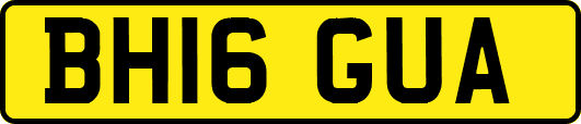 BH16GUA