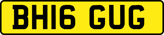 BH16GUG