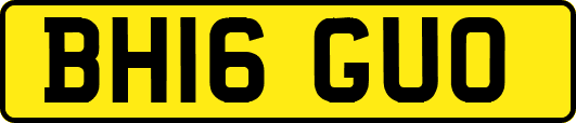 BH16GUO