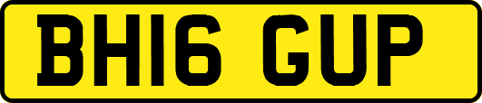 BH16GUP