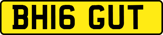 BH16GUT