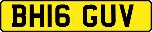 BH16GUV