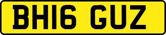 BH16GUZ