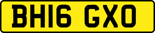 BH16GXO