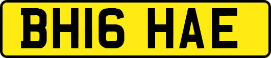 BH16HAE