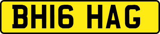 BH16HAG