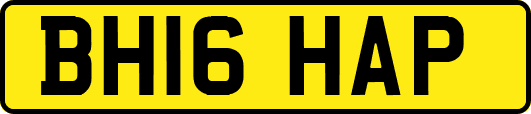BH16HAP