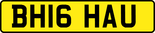BH16HAU