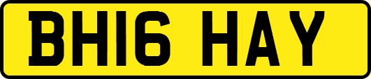 BH16HAY