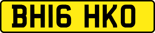 BH16HKO