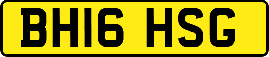 BH16HSG