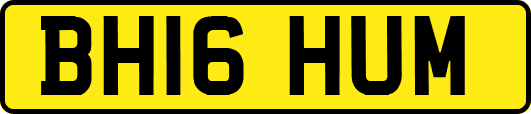 BH16HUM