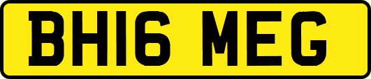 BH16MEG