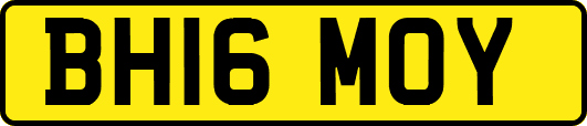 BH16MOY