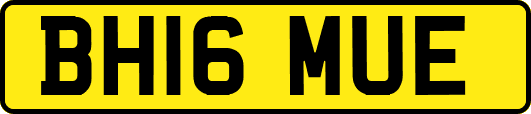 BH16MUE