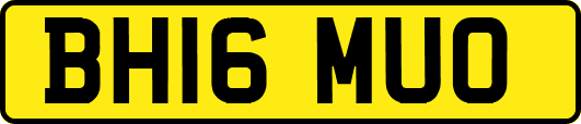 BH16MUO