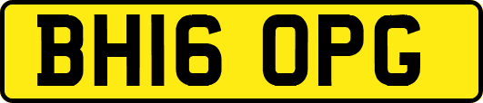 BH16OPG