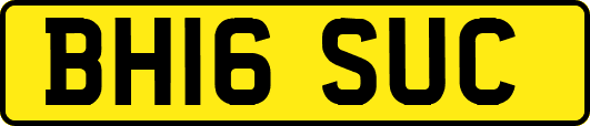 BH16SUC