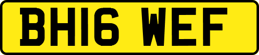 BH16WEF