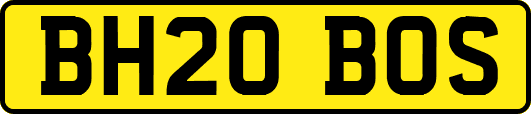 BH20BOS