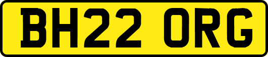 BH22ORG