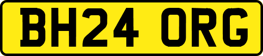 BH24ORG