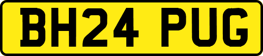 BH24PUG