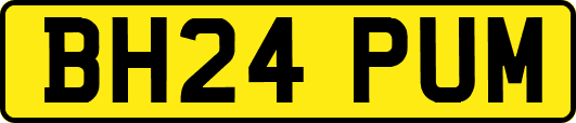 BH24PUM