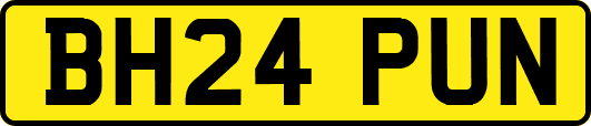 BH24PUN
