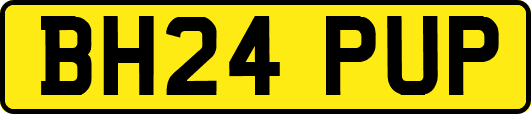 BH24PUP