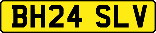 BH24SLV