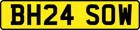BH24SOW