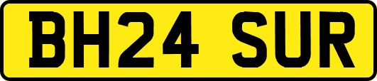 BH24SUR