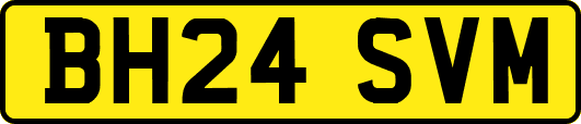 BH24SVM
