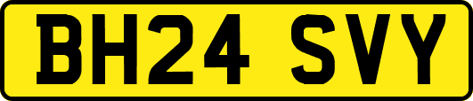 BH24SVY