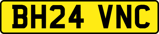 BH24VNC