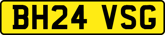 BH24VSG