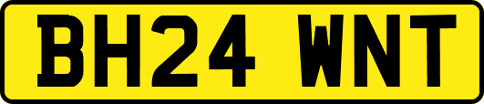 BH24WNT