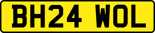 BH24WOL