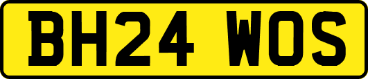 BH24WOS
