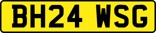 BH24WSG