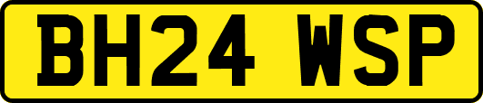 BH24WSP