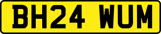 BH24WUM