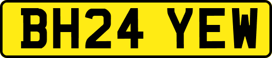 BH24YEW