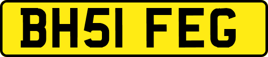 BH51FEG