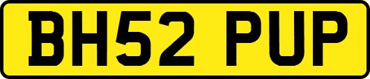 BH52PUP