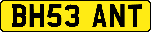 BH53ANT