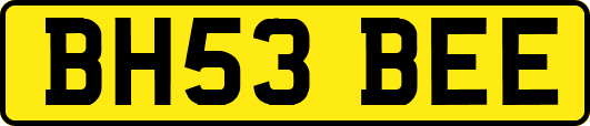 BH53BEE