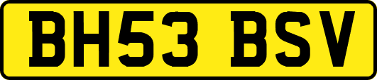 BH53BSV