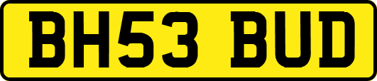 BH53BUD